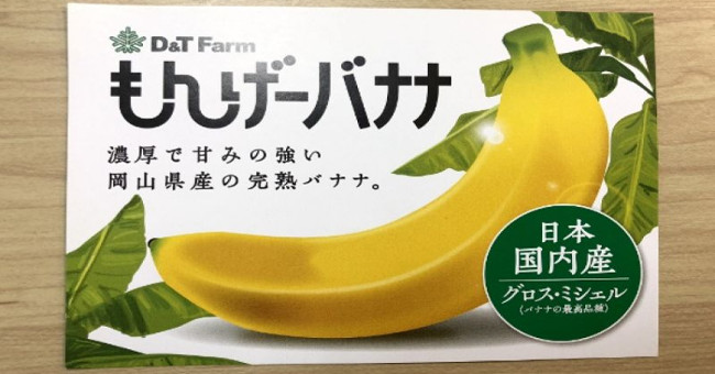 Successful Japanese breeding bananas can eat the whole shell, costing 6 USD / fruit