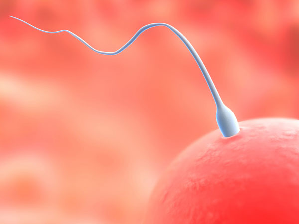 Successful production of sperm from human skin