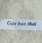 Successful restoration of rice varieties Bao thai Cho Don