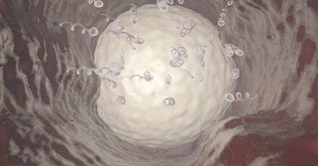 Successful testing of contraceptive gel for men on monkeys