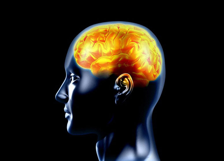 Successful treatment of epilepsy with gamma knives