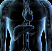 Successfully attached micro sensor to heart tissue