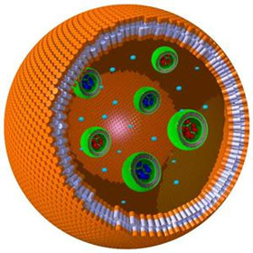 Successfully build the first plastic cell