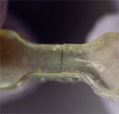 Successfully built cheap polymer material that is self-healing