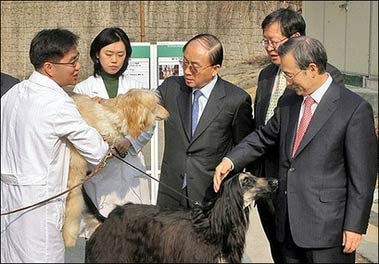 Successfully cloned poodle