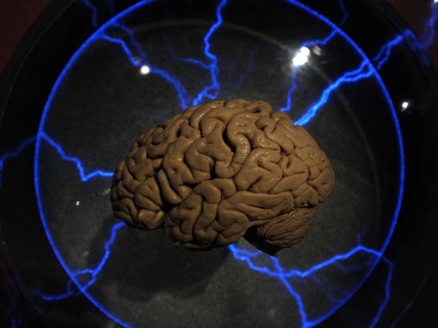 Successfully created artificial brain like 99% real brain
