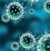 Successfully created deadly flu virus in the laboratory