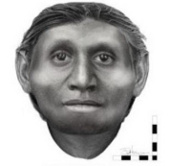 Successfully created the face of the dwarf Hobbit