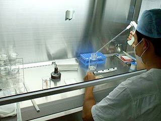 Successfully cultured corneal initially from stem cells