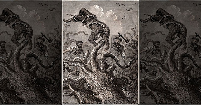 Successfully decode the genome of the mysterious giant squid