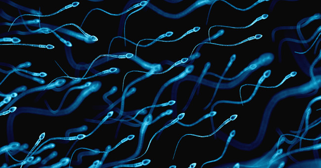 Successfully developed artificial sperms that have good fertilization such as 'real things' by stem cells