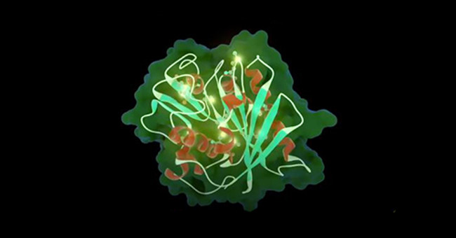 Successfully developed enzymes capable of decomposing plastics