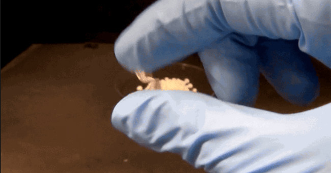 Successfully developed gravel glue that breaks down is sticky