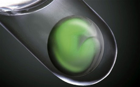 Successfully developed human eye embryos in vitro