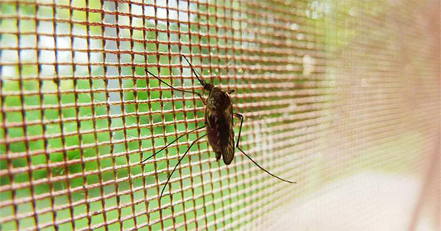 Successfully developed mosquito nets that are both safe for humans and effective against mosquitoes