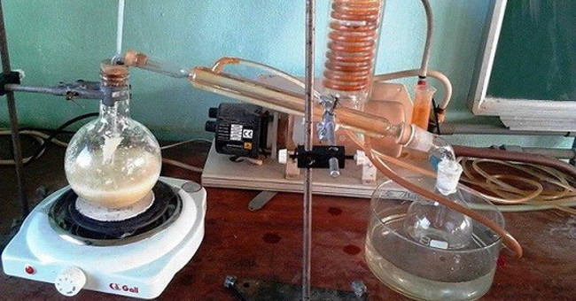 Successfully extracted garlic oil into capsule form