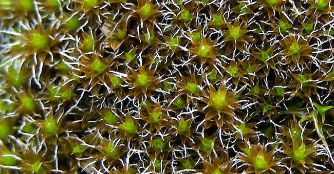 Successfully fabricated coating to prevent splashing of urine