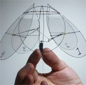 Successfully fabricated jellyfish-style motion equipment