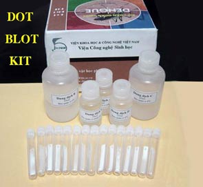 Successfully fabricated KIT kit for rapid diagnosis of dengue fever