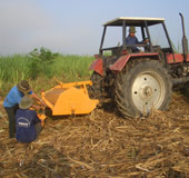Successfully fabricated sugarcane leaf hash machine