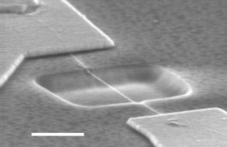 Successfully fabricated the world's smallest string