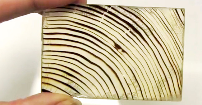 Successfully made durable glass material, but made from wood