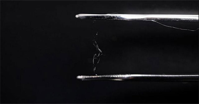 Successfully manufactured biodegradable plastic materials