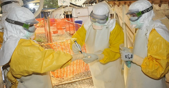 Successfully modulate Ebola treatment serum in monkeys