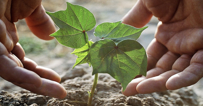 Successfully produced artificial land