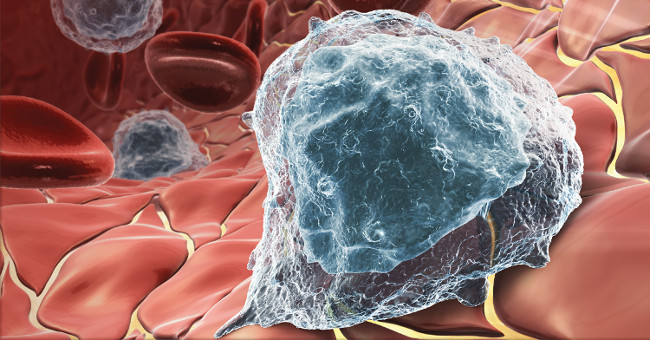 Successfully tested anti-cancer vaccine - 12 people cured