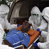 Successfully tested Ebola drugs in short-tailed monkeys