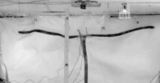 Successfully tested the anti-bomb lining for aircraft