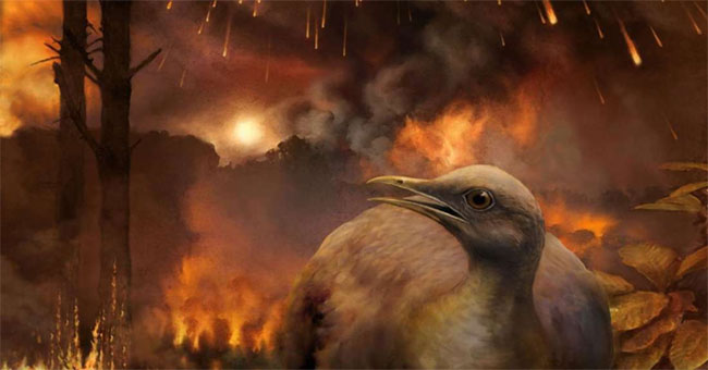 Suffering from meteorite disaster but why dinosaurs are extinct, birds are not?