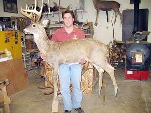'Summary' hunters poached by robotic beasts