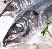 Sunlight affects the content of mercury in fish