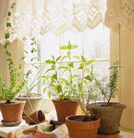 Sunlight helps prevent drowsiness
