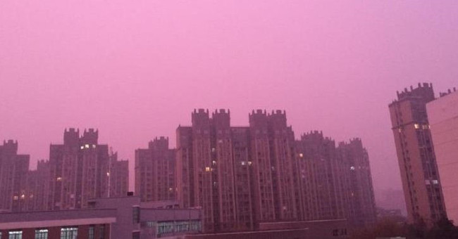 Sunset color lavender in Nanjing