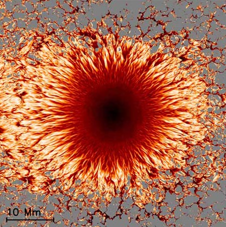 Sunspot: the latest simulation