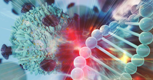 'Super cells' defeat cancer, infection and aging