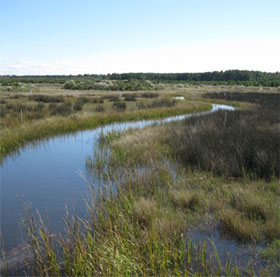 Super fast water monitoring technique