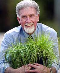 Super grass