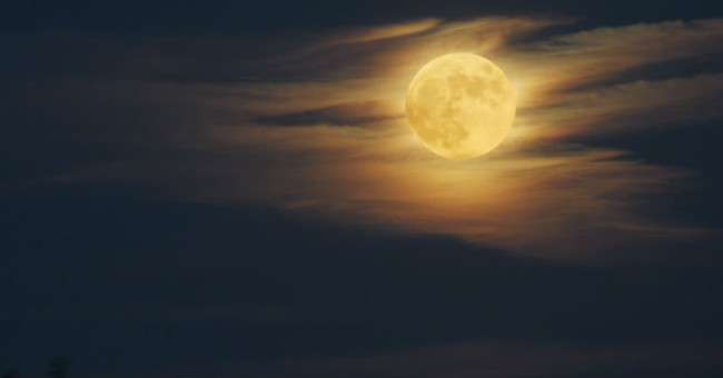Super moon has appeared