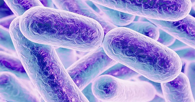 Super new disease threatens those 'sweet-smelling'