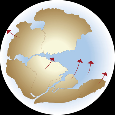 Supercontinent Pangea is formed like?