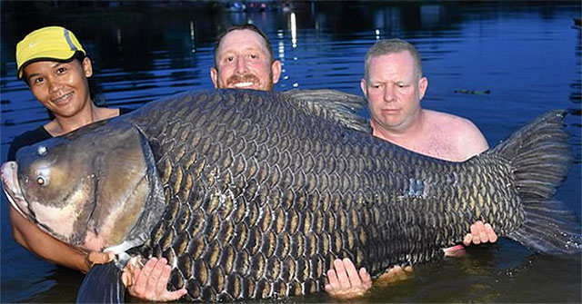 Superhearted coral fish bite English anglers