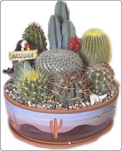 Supplementing the lungs by growing plants indoors