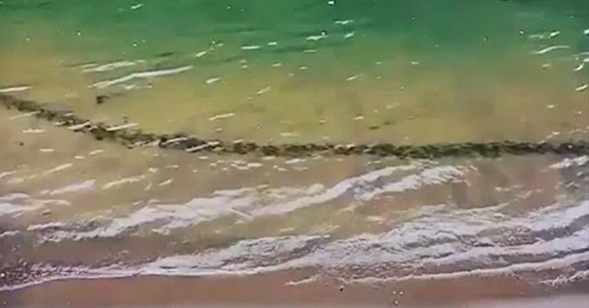 Surely the giant sea monster swam under the water, marveling at the truth
