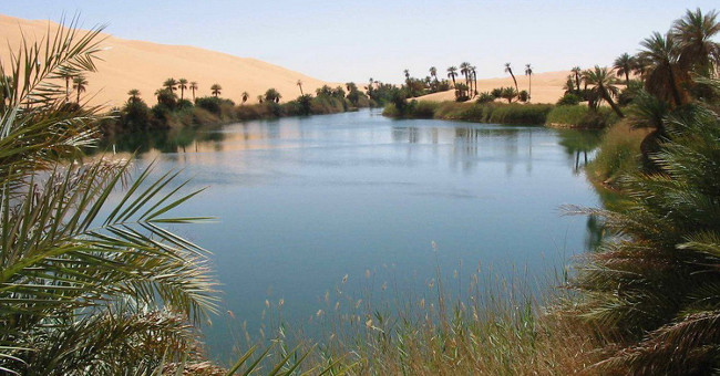 Surprise with oases filled with trees and shade between the Sahara desert