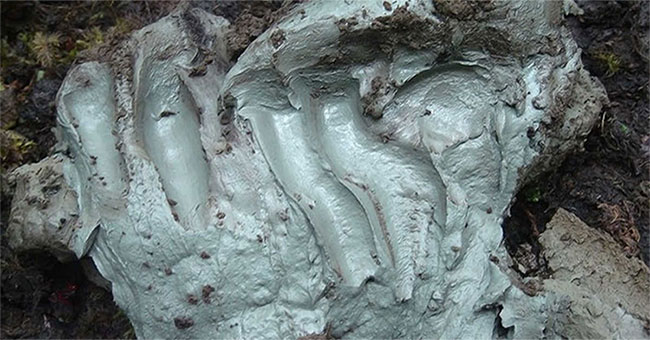 Surprise with this close material can resist antibiotic resistant bacteria