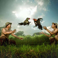 Surprised with the beautiful set of Malaysian country images in Vietnam